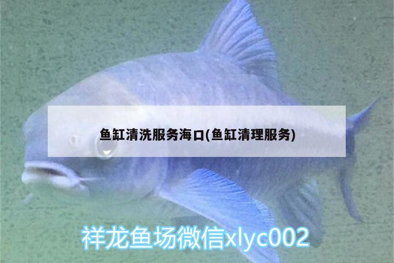 魚缸清洗服務(wù)?？?魚缸清理服務(wù)) 黃金眼鏡蛇雷龍魚