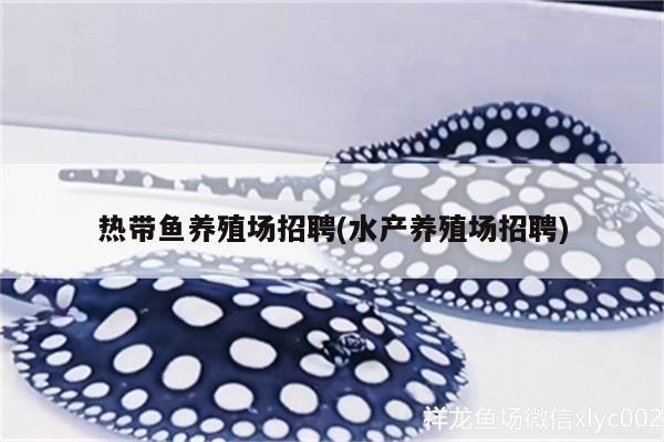 熱帶魚養(yǎng)殖場招聘(水產(chǎn)養(yǎng)殖場招聘) 祥龍水族濾材/器材