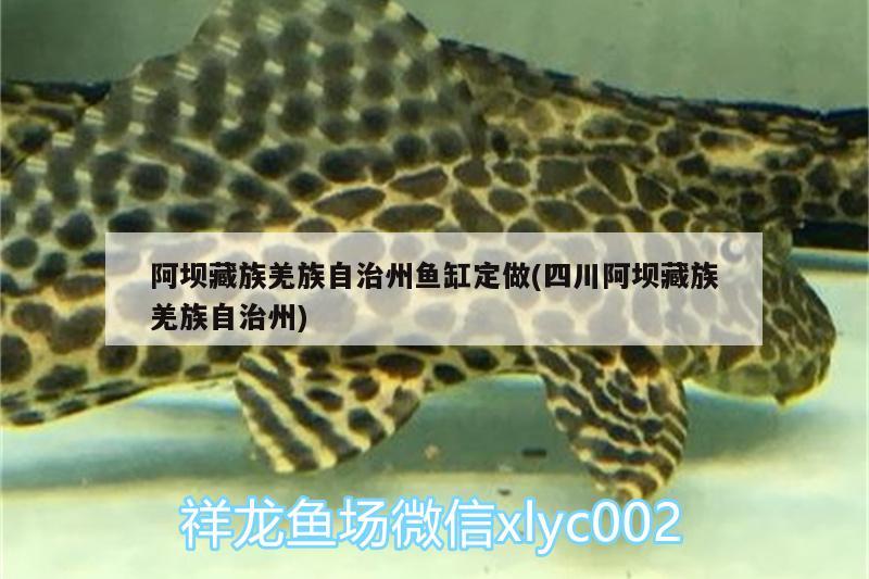 阿壩藏族羌族自治州魚缸定做(四川阿壩藏族羌族自治州) 水族用品