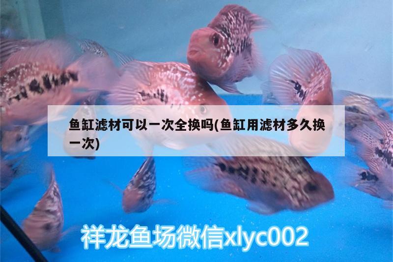 魚缸濾材可以一次全換嗎(魚缸用濾材多久換一次) PH調(diào)節(jié)劑