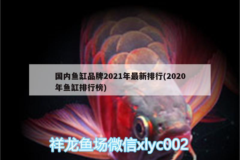 國(guó)內(nèi)魚(yú)缸品牌2021年最新排行(2020年魚(yú)缸排行榜)