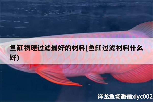 魚缸物理過濾最好的材料(魚缸過濾材料什么好)