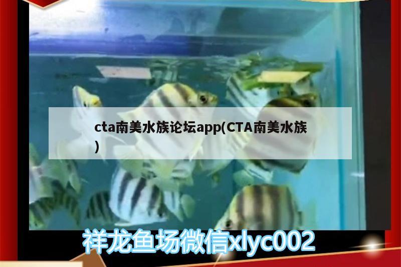 cta南美水族論壇app(CTA南美水族)