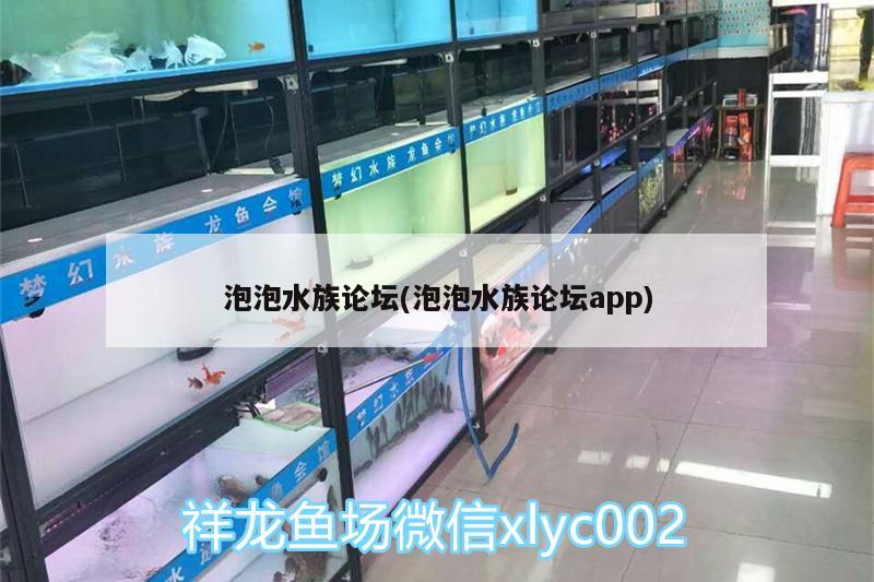 泡泡水族論壇(泡泡水族論壇app) 羽毛刀魚苗