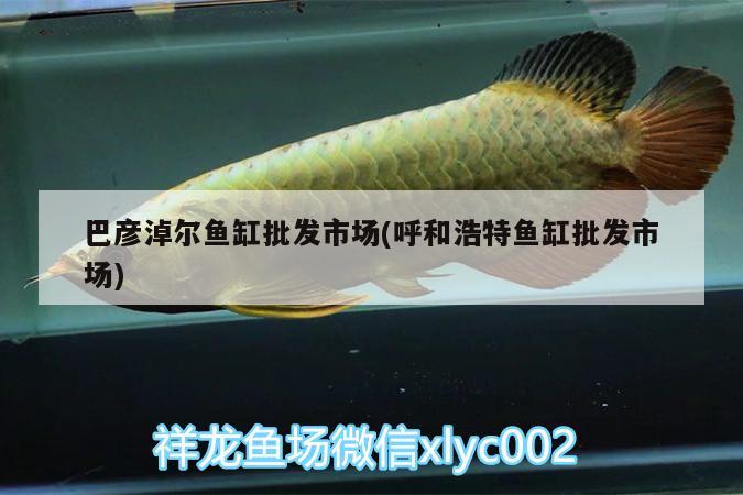 巴彥淖爾魚缸批發(fā)市場(呼和浩特魚缸批發(fā)市場) 水族燈（魚缸燈）