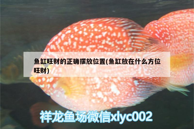 魚缸旺財?shù)恼_擺放位置(魚缸放在什么方位旺財)