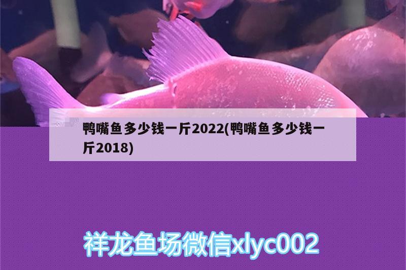 鴨嘴魚多少錢一斤2022(鴨嘴魚多少錢一斤2018) 銀河星鉆魚