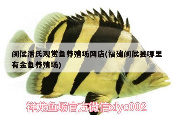 閩侯潘氏觀賞魚養(yǎng)殖場網(wǎng)店(福建閩侯縣哪里有金魚養(yǎng)殖場)