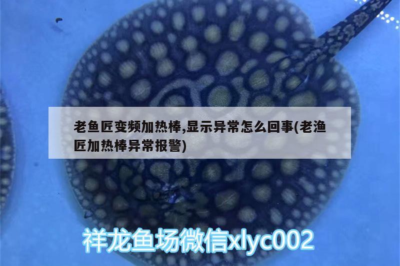 老魚匠變頻加熱棒,顯示異常怎么回事(老漁匠加熱棒異常報(bào)警) 老魚匠