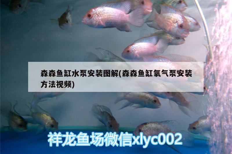 森森魚缸水泵安裝圖解(森森魚缸氧氣泵安裝方法視頻)