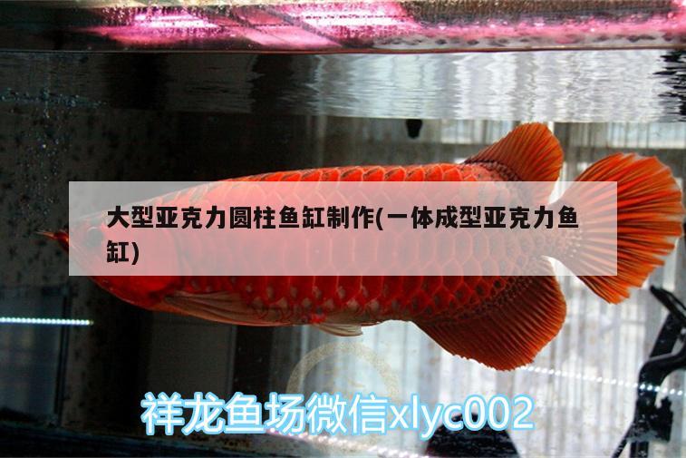 大型亞克力圓柱魚缸制作(一體成型亞克力魚缸)