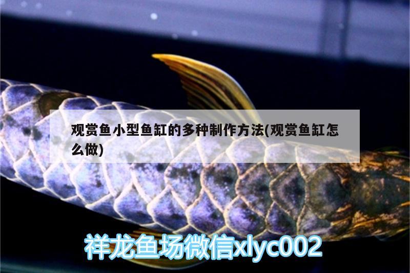 觀賞魚小型魚缸的多種制作方法(觀賞魚缸怎么做) 伊巴卡魚