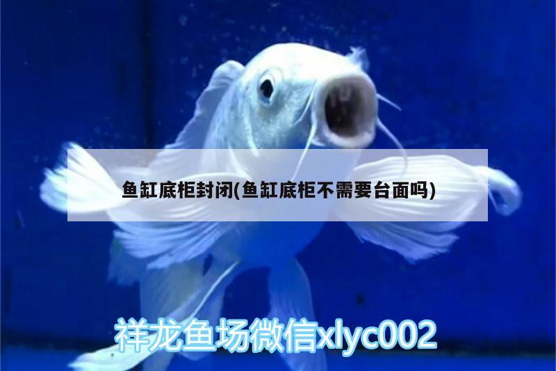 魚缸底柜封閉(魚缸底柜不需要臺面嗎) 黑白雙星魚