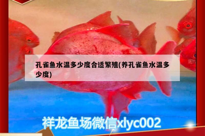 孔雀魚(yú)水溫多少度合適繁殖(養(yǎng)孔雀魚(yú)水溫多少度)