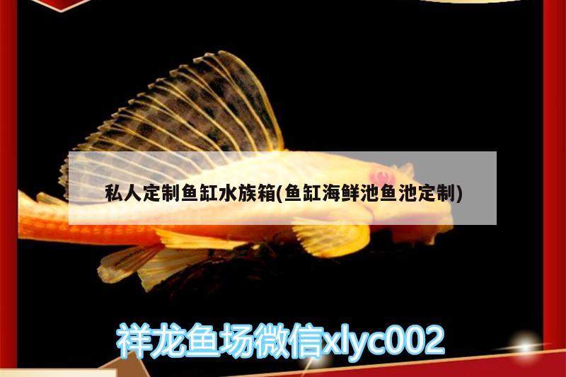 私人定制魚缸水族箱(魚缸海鮮池魚池定制)