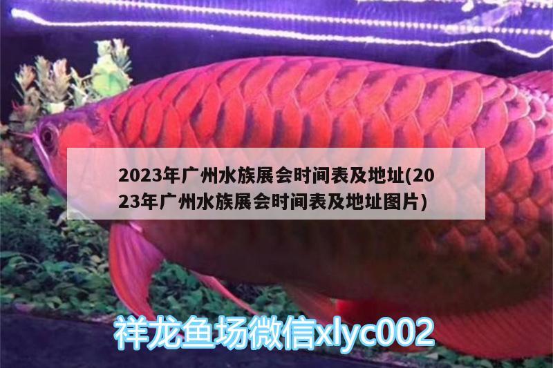 2023年廣州水族展會時間表及地址(2023年廣州水族展會時間表及地址圖片) 水族展會