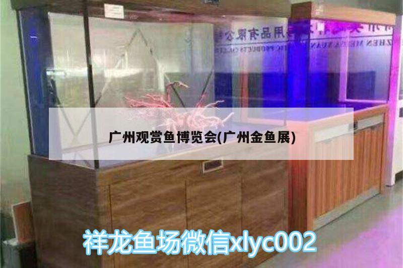 廣州觀賞魚博覽會(廣州金魚展) 觀賞魚水族批發(fā)市場