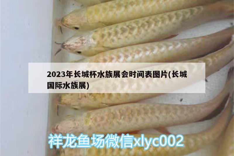 2023年長城杯水族展會時間表圖片(長城國際水族展)