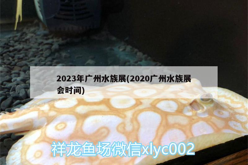 2023年廣州水族展(2020廣州水族展會時間)