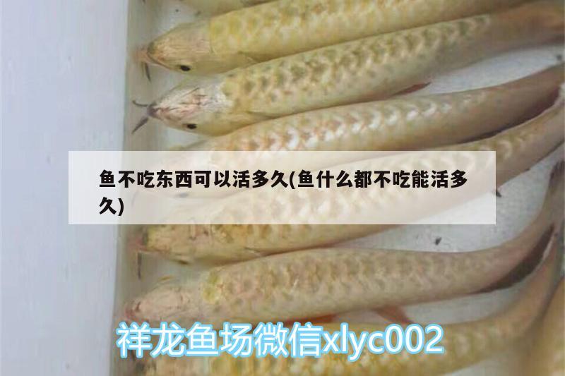 魚不吃東西可以活多久(魚什么都不吃能活多久)