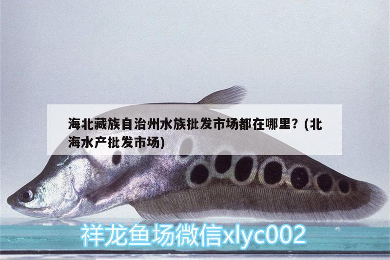 海北藏族自治州水族批發(fā)市場都在哪里？(北海水產(chǎn)批發(fā)市場)