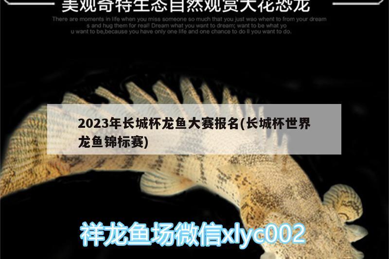 2023年長城杯龍魚大賽報名(長城杯世界龍魚錦標(biāo)賽)