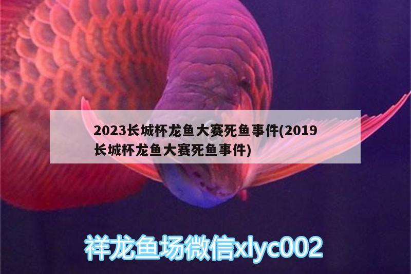 2023長(zhǎng)城杯龍魚大賽死魚事件(2019長(zhǎng)城杯龍魚大賽死魚事件) 2024第28屆中國(guó)國(guó)際寵物水族展覽會(huì)CIPS（長(zhǎng)城寵物展2024 CIPS）