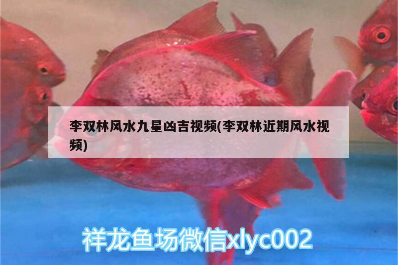 李雙林風水九星兇吉視頻(李雙林近期風水視頻) 魚缸風水