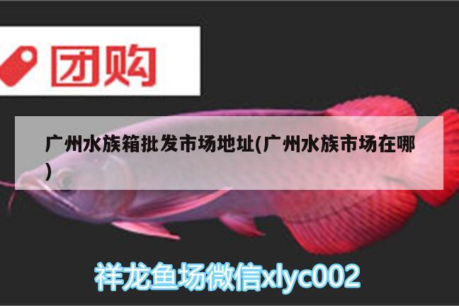 廣州水族箱批發(fā)市場地址(廣州水族市場在哪) 魚缸/水族箱