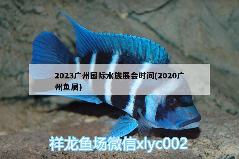 2023廣州國(guó)際水族展會(huì)時(shí)間(2020廣州魚展) 水族展會(huì)