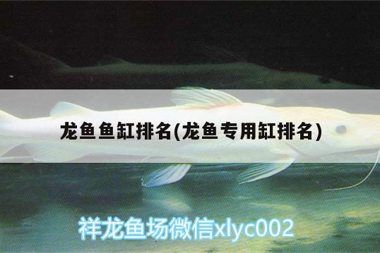 龍魚(yú)魚(yú)缸排名(龍魚(yú)專(zhuān)用缸排名) 非洲象鼻魚(yú)