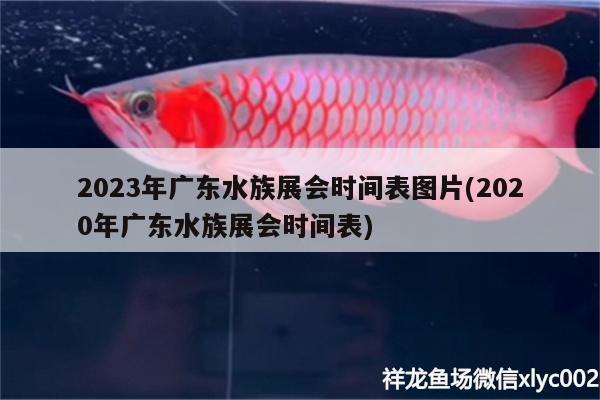 2023年廣東水族展會(huì)時(shí)間表圖片(2020年廣東水族展會(huì)時(shí)間表) 水族展會(huì) 第2張