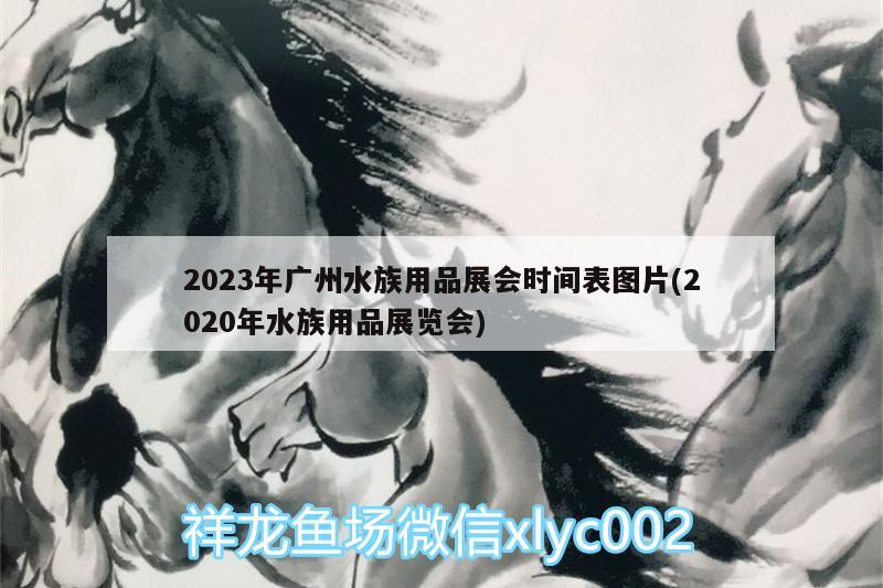 2023年廣州水族用品展會時間表圖片(2020年水族用品展覽會)