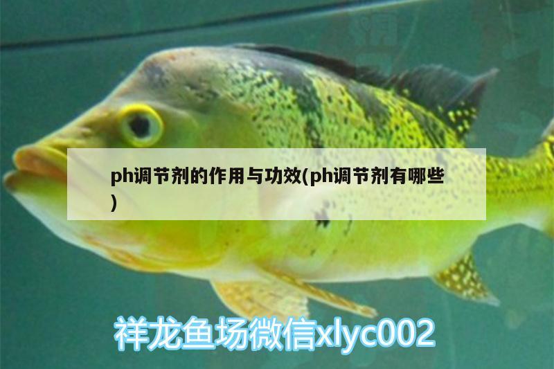 ph調(diào)節(jié)劑的作用與功效(ph調(diào)節(jié)劑有哪些)