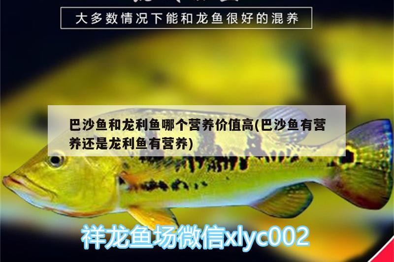 巴沙魚和龍利魚哪個營養(yǎng)價值高(巴沙魚有營養(yǎng)還是龍利魚有營養(yǎng)) BD魟魚