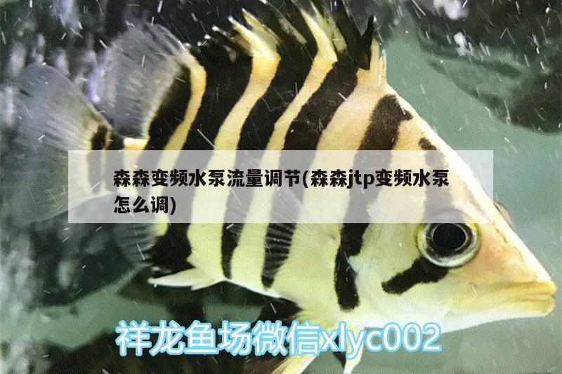 森森變頻水泵流量調(diào)節(jié)(森森jtp變頻水泵怎么調(diào))