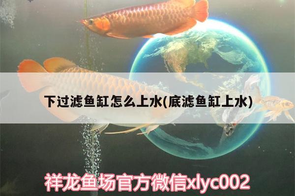 下過濾魚缸怎么上水(底濾魚缸上水) 潛水泵