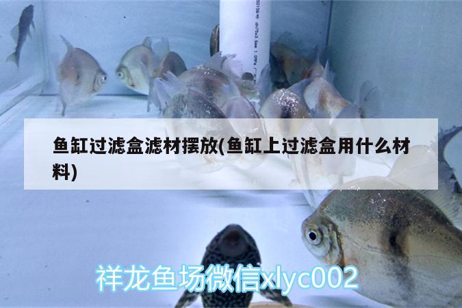 魚缸過濾盒濾材擺放(魚缸上過濾盒用什么材料)