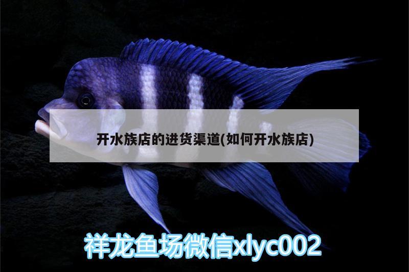 開水族店的進(jìn)貨渠道(如何開水族店) 蝴蝶鯉魚苗