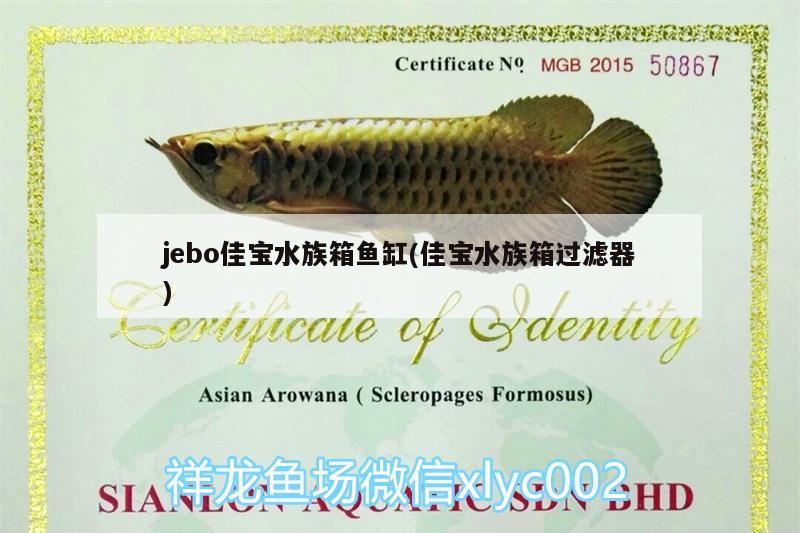 jebo佳寶水族箱魚缸(佳寶水族箱過濾器) 魚缸/水族箱