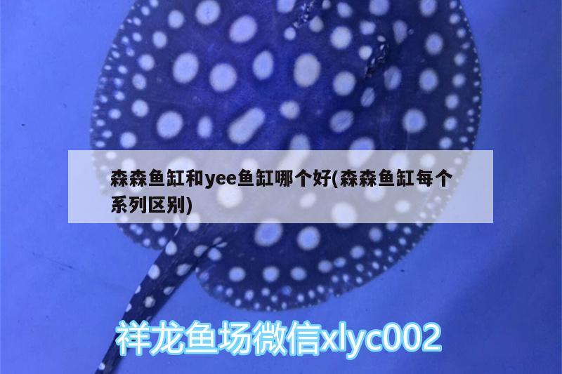 森森魚缸和yee魚缸哪個好(森森魚缸每個系列區(qū)別)