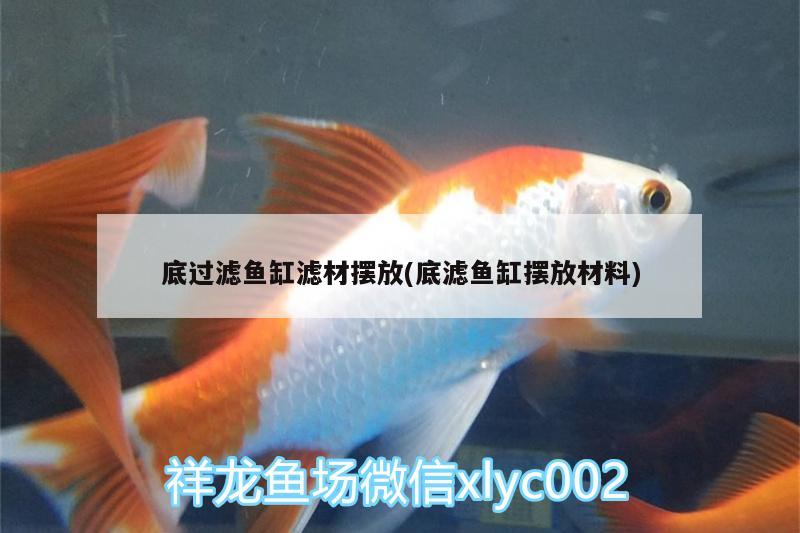 底過濾魚缸濾材擺放(底濾魚缸擺放材料)