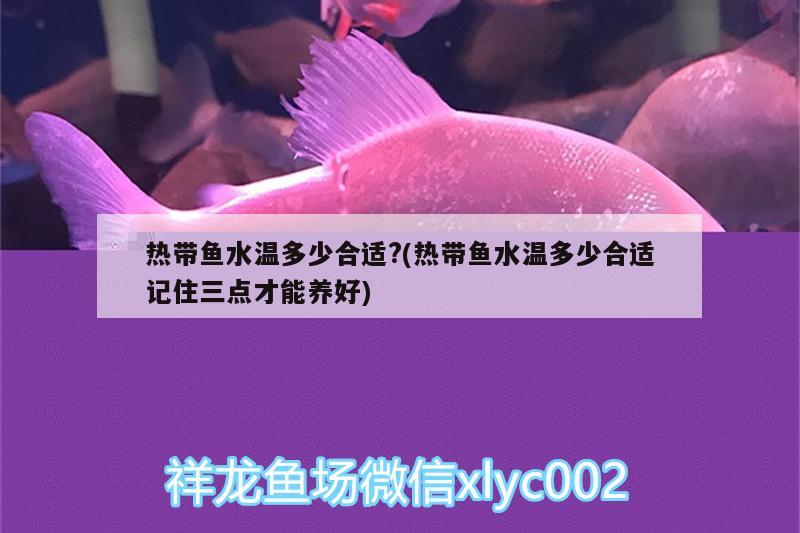 熱帶魚(yú)水溫多少合適?(熱帶魚(yú)水溫多少合適記住三點(diǎn)才能養(yǎng)好) 黑云魚(yú)