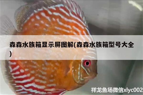 森森水族箱顯示屏圖解(森森水族箱型號大全) 魚缸/水族箱