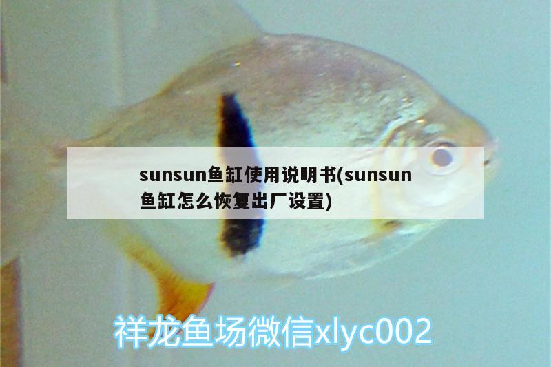 sunsun魚缸使用說明書(sunsun魚缸怎么恢復(fù)出廠設(shè)置) 黃金河虎魚