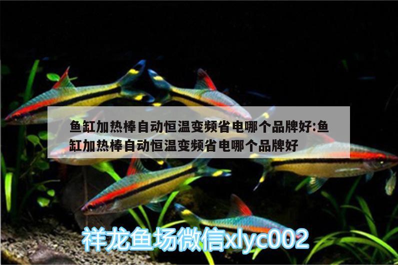 魚缸加熱棒自動恒溫變頻省電哪個品牌好:魚缸加熱棒自動恒溫變頻省電哪個品牌好