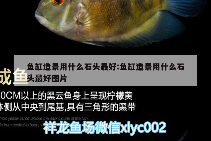 魚缸造景用什么石頭最好:魚缸造景用什么石頭最好圖片 沖氧泵 第1張