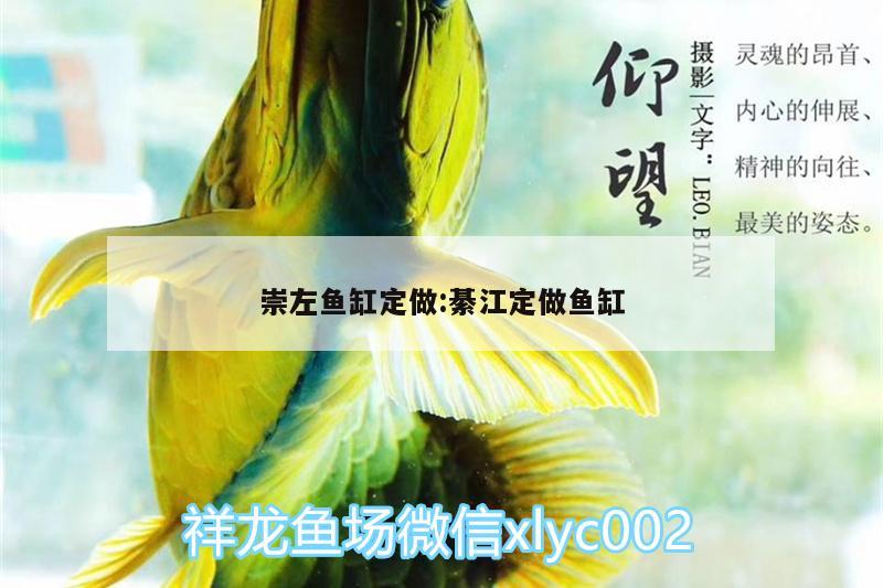 崇左魚缸定做:綦江定做魚缸