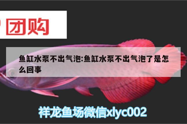 魚缸水泵不出氣泡:魚缸水泵不出氣泡了是怎么回事 魚缸水泵