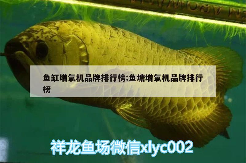 魚缸增氧機品牌排行榜:魚塘增氧機品牌排行榜 招財戰(zhàn)船魚